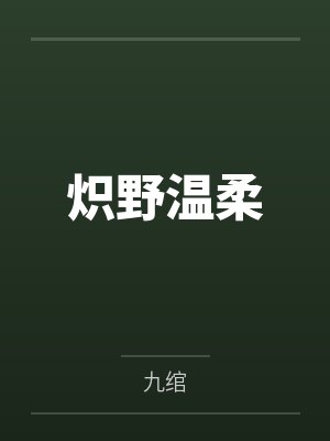 江湖不过一把刀封面