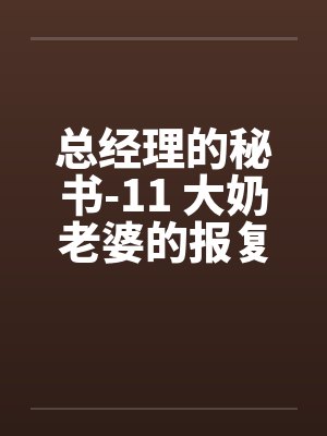 总经理的秘书-11 大奶老婆的报复封面
